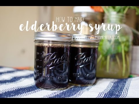 download lagu mp3 mp4 Fresh Elderberry Syrup Recipe Uk, download lagu Fresh Elderberry Syrup Recipe Uk gratis, unduh video klip Fresh Elderberry Syrup Recipe Uk