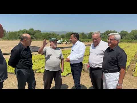 ÜZÜM ÜRETİCİSİ YENİ PARTİ’Lİ BAŞEVİRGEN’E DERT YANDI, ÜZÜM SERGİDE AMA TMO’DA HALA FİYAT YOK