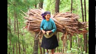 preview picture of video 'Randonnées Ha Giang'