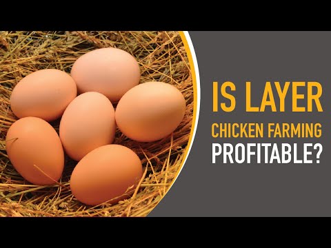 Is Potato Farming Profitable