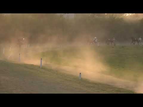 Trka "Vlaović Svetozar-pokrovitelj privrednici Žablja” 20.09.2020 Oksana - Aleksandar Topalov