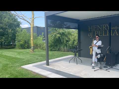 Promotional video thumbnail 2 for SaxyMusic Entertainment