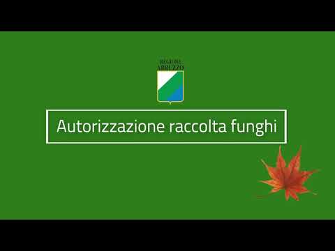 Autorizzazione per la raccolta dei funghi