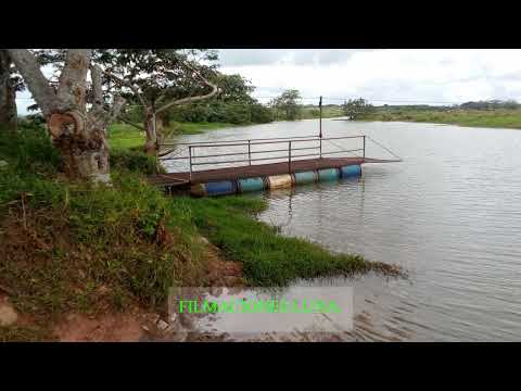 VISITA A LOS CHILES  DE ALAJUELA.