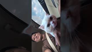 Download lagu bentar lagi kawin 🤏 mp3 Download lagu bentar lagi kawin 🤏 mp3