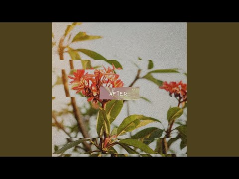 Thumbnail for After video