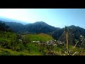 Nature Lover Whatsapp Status Beauty Of Dharamsala Shorts Youtubeshorts Beauty Of Dharamsala