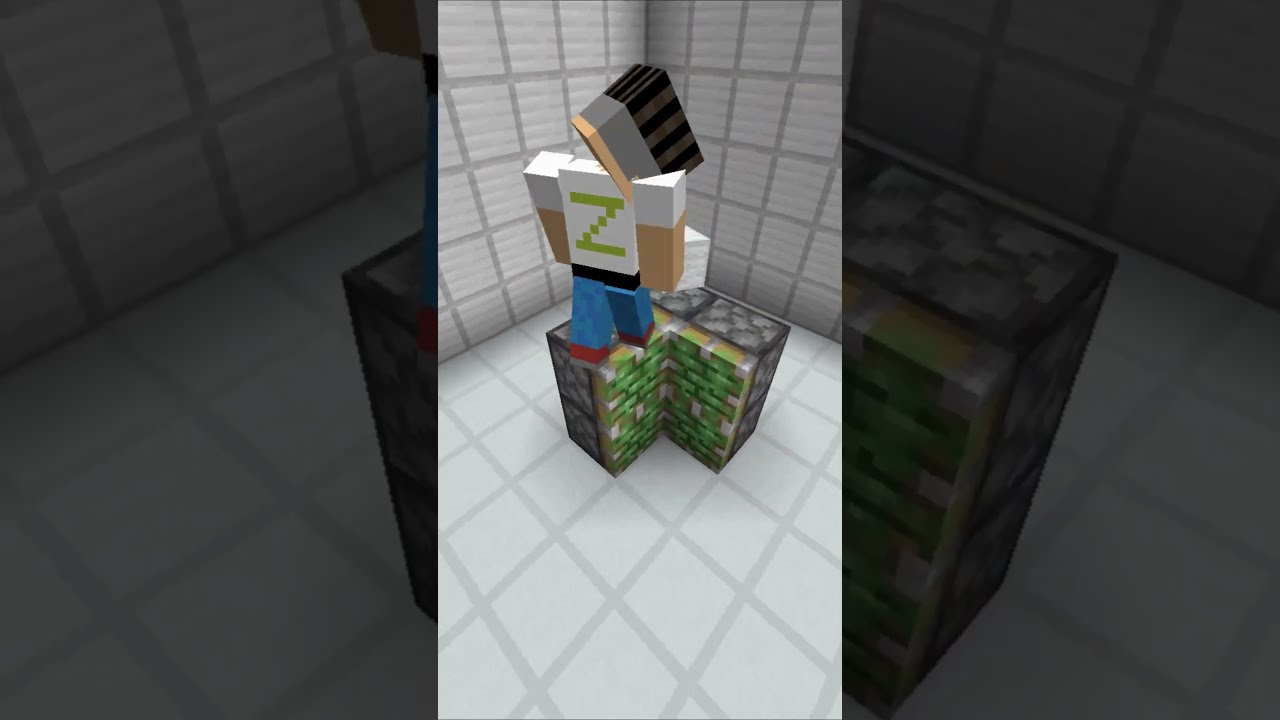 Hidden Redstone Door in Minecraft! #ZarProMc #minecraft #simple #redstone #build