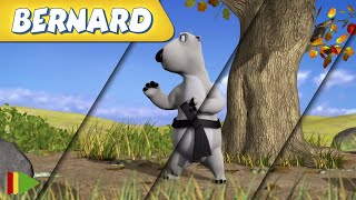 🐻‍❄️ BERNARD  | Collection 19 | Full Episodes | VIDEOS and CARTOONS FOR KIDS