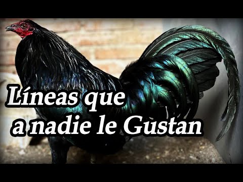 Lines that nobody likes