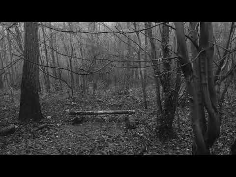 Unearthing At The Graveyard