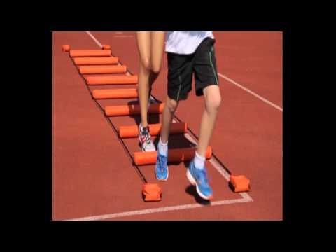 Koordinationsleiter - Übung 1d