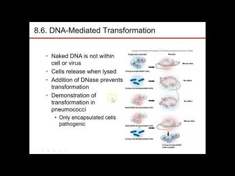 Chapter 8 part 4 microbiology nester sandburg