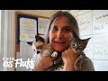 Inside The Charm School For Rescue Kittens CUTE AS FLUFF