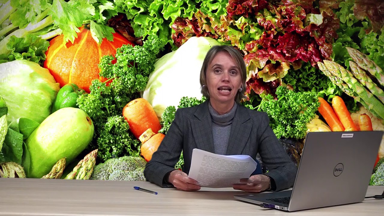 Histórico das políticas de alimentação e nutrição no Brasil