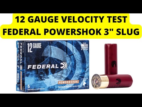 Remington Cyclone vs Federal High Power HP in .22 LR