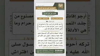 صورة 3251 - حكم لبس الحذاء المصنوع من جلود السباع  - نور على الدرب