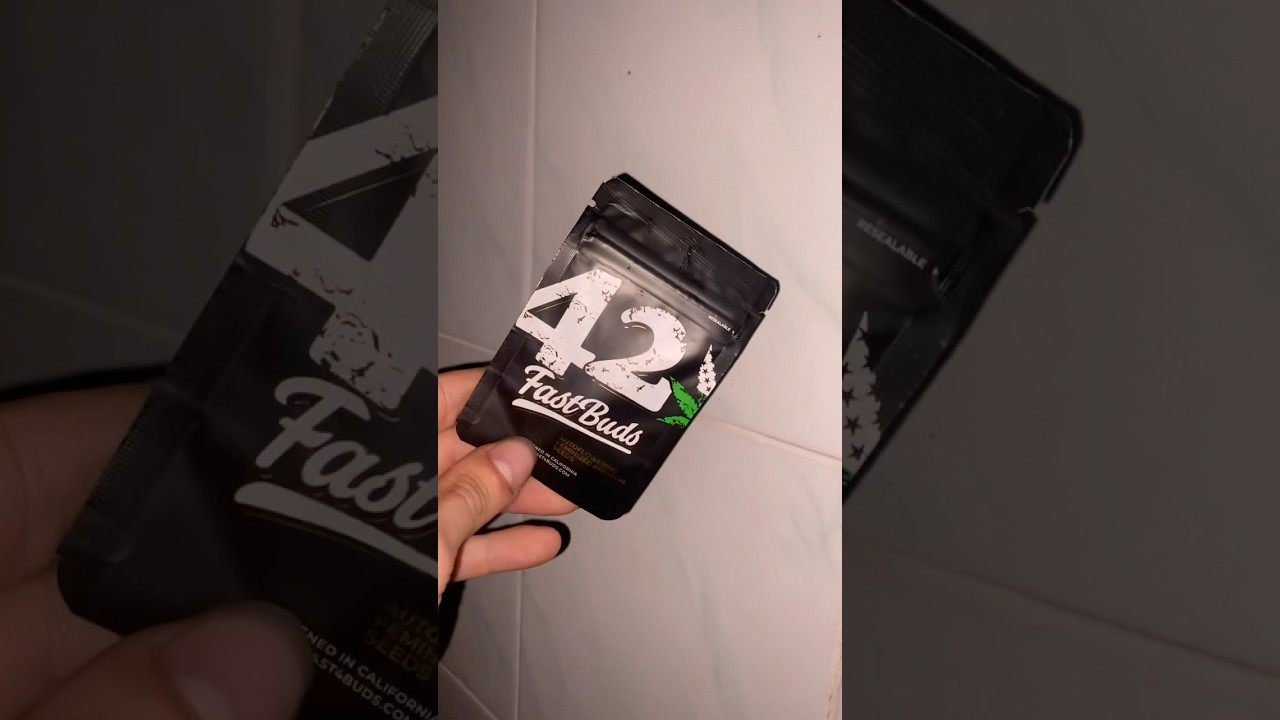 Guava Auto🥭from Fast Buds genetics 🧬 #fastbuds #cannabiscommunity #autoflower #vivosun