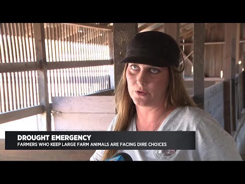 Extended Interview With Flat Broke Farms Director Erica Gregory