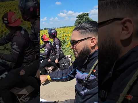 Campos de girasoles🌻Santa rosalia - portuguesa - VENEZUELA 🇻🇪#motos #venezuela #portuguesa