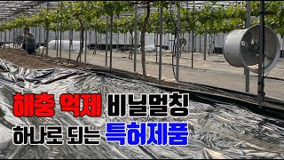 토양살충제 살포보다 토양 해충 방제가 편한 썬라이크필름 비닐멀칭 방법