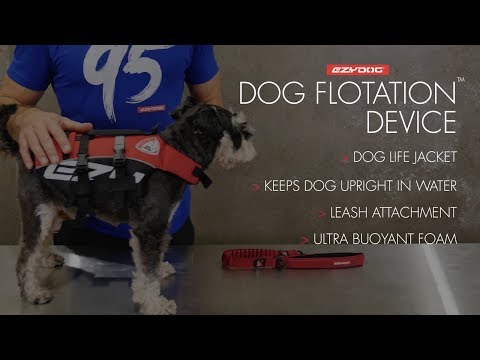 Gilet de sauvetage petit chien 7Kg Gilet de natation