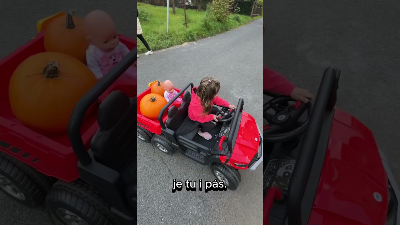 Dvoumístné autíčko andos Texas Farmer 4x 24V/120W s elektrickou korbou, zelené (sestavené)