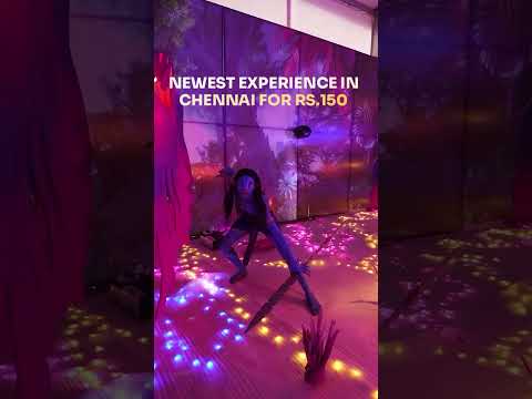 Event Highlights