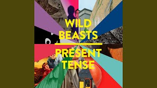 Music video thumbnail preview for Past Perfect by Wild Beasts