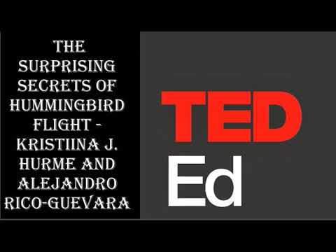The surprising secrets of hummingbird flight   Kristiina J  Hurme and Alejandro Rico Guevara