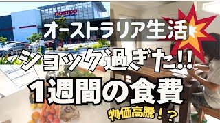 え、これで1週間！？オーストラリア主婦の食費がショックすぎた…。 #主婦vlog #costco購入品#食費