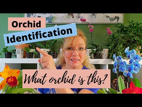 , title : 'Orchid Identification: The 5 Most Common Orchids for Beginners'