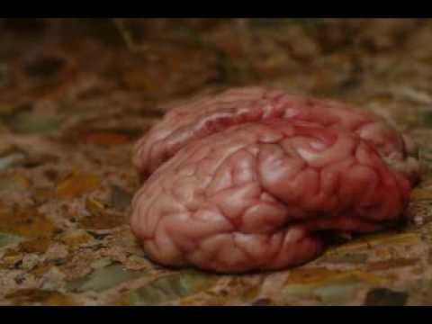 Running Potatoes - Brainless (corto)