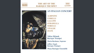 Trumpet Concerto in D Major, G. 28: V. Allegro