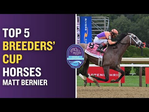 Matt Bernier's Top 5 Breeders' Cup Horses to Watch