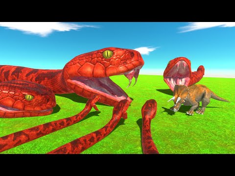 Who Can Escape Titanoboa Traps | Animal Revolt Battle Simulator | ARBS PLAY