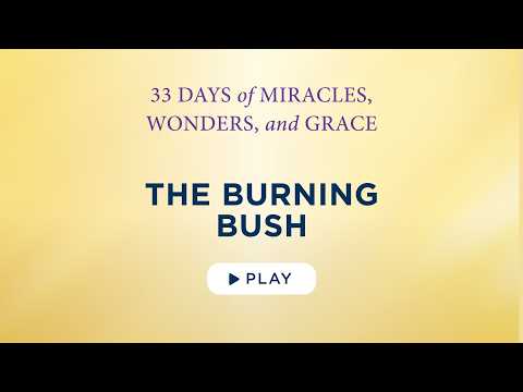 The Burning Bush - Best Lent Ever - Matthew Kelly