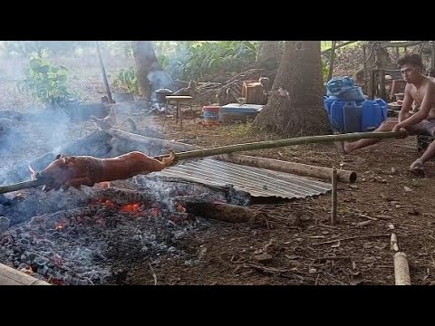 Lechon Baboy - Preparing and Cooking Letchon || Watch This!!