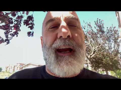 Il cane dal macellaio