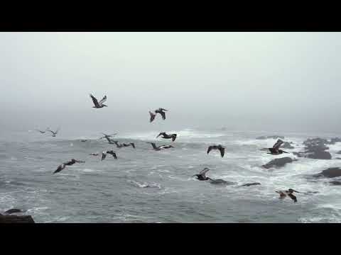 Alex Baker - Anchor (cover)