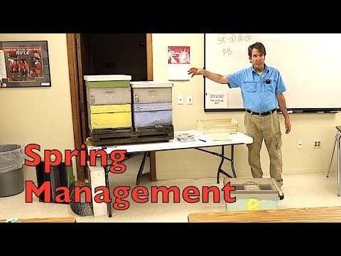 Beekeeping Spring Management