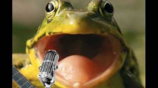 Língua presa - Raimundos