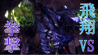 【実況】地面危なくても空飛べｂ\\ドガーン！//【モンスターハンターワールド：アイスボーン】