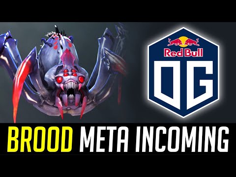 BROODMOTHER meta incoming? - OG practicing this hero DOTA 2