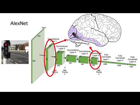 Linking Patterns of Infant Eye Movements to a Neural Network Model of the Ventral Stream...