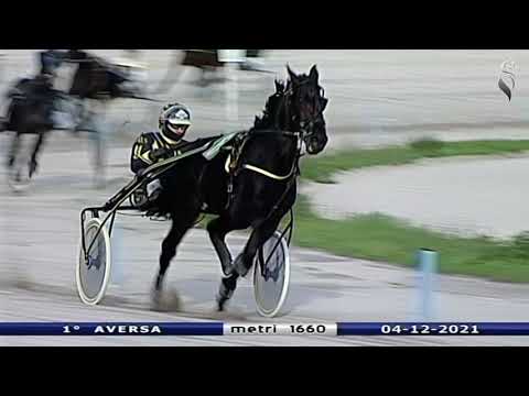 Aversa trotto 4 Dicembre 2021 - 1° Corsa