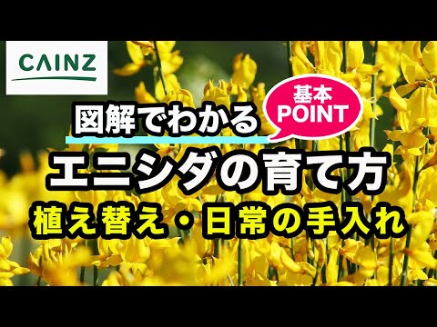 地図で見る: オーストラリア