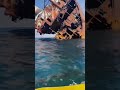 Titanic Ship Tiktok Titans Omgpage Trending Whatsapp
