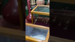 Baba Ustad Allauddin Khansahib’s Instruments in his home in Maihar