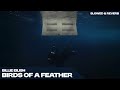 BILLIE EILISH BIRDS OF A FEATHER S L O W E D R E V E R B